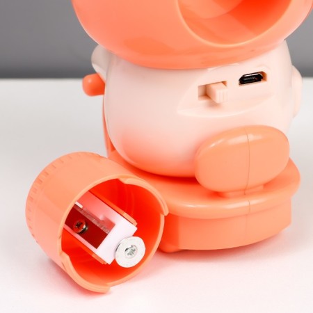 Night "Bunny" LED 2W USB AKB Pink 7.5x9.5x32 cm Risalux-6