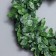 Liana is artificial for decor "Little Leaves", 3 meters, 13 × 13 × 2 cm