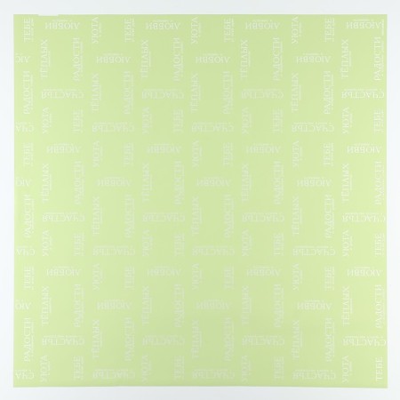 Palette packaging for flowers "for you", matte, light green, 57 x 57 cm-2