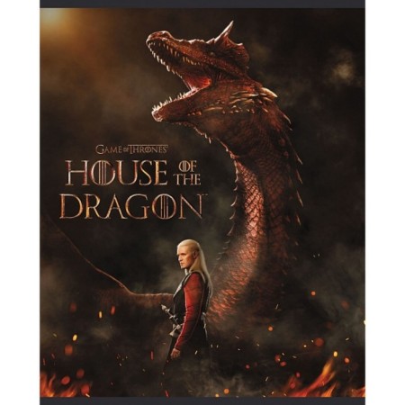 Notebook of 48 sheets in the cage "Dragon House", cover coated cardboard, rounded corners, mix-1