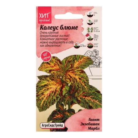 Flower seeds Koleus Bluma "Giant Excishen Marbl", 10 pcs