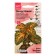 Flower seeds Koleus Bluma "Giant Excishen Marbl", 10 pcs