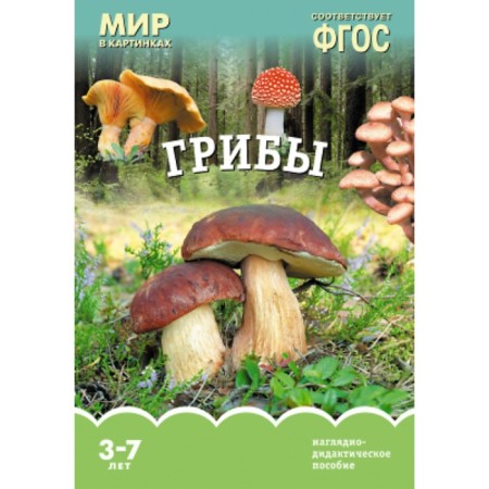 Mushrooms. A visual-didactic manual in the folder