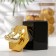 Ceramic bank for bulk products "Golden Wing", 10.5 × 16.5 cm, black color