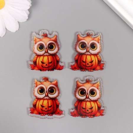 Decor for the work of acrylic "Council with pumpkin" 3.4x2.9x0.2 cm-1