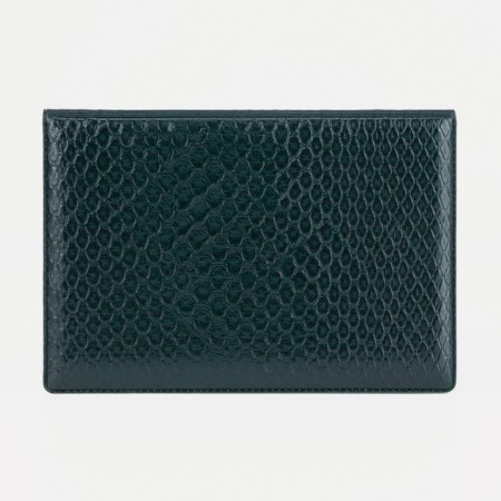 Cover for passport, green color-2