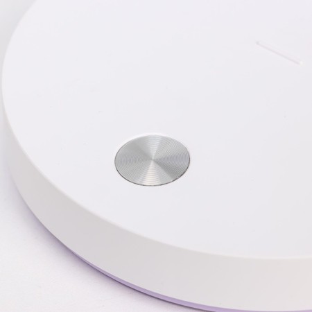 Highway lamp "Gard" LED, from USB/AKB 7 W, 3000-6000 sensor to white-violet 13x12x37 cm Risalux-8