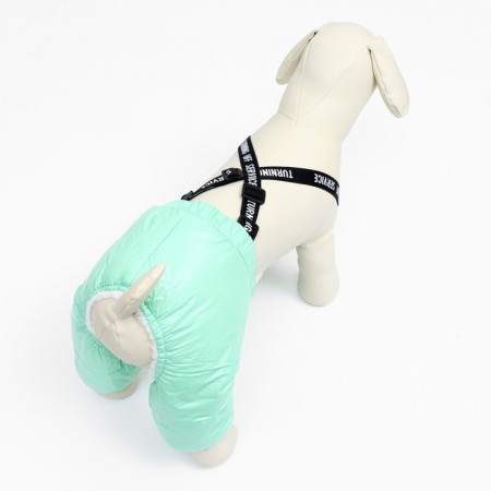 Complex-stroke for dogs, size XS (DS 26, from 28 cm), mint-3