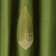 Set of curtains "Alice", size 2x145x270 cm, grass of grass