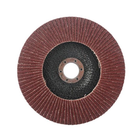 Circle petal end Edge by Patriot, 150x22.23 mm, P80-1