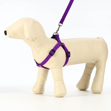 Set "Basis", leash 120 x 1.5 cm, OG 32-46 cm, purple-2
