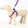 Set "Basis", leash 120 x 1.5 cm, OG 32-46 cm, purple