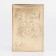 Cover for passport, gold color
