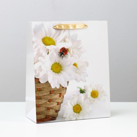 Laminated package, 26 x 32 x 12 cm