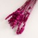 Set of dried flowers "lavender" banch length 30 (+/- 6 cm), pink