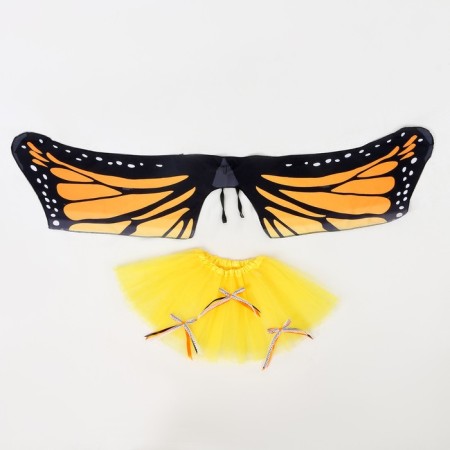 Carnival set "Butterfly", 5-7 years: skirt, wings