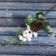 Decor "Winter charm" berry berries in the snow 25 cm