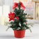 Christmas tree decor "Snow" 20 cm, red