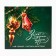 Set "Winter will give miracles" tea 50 g, pastille