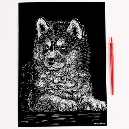 Engraving. Set of engravings "Animals", A4, 4 pcs-9