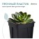 Pot for seedlings, 180 ml, d = 7 x 7 x 8 cm, (packaging 20 pcs.) Greengo