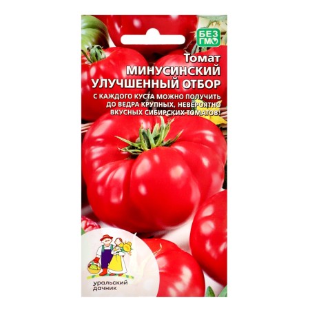 Seed Tomat "Minusinsky", improved selection, 20 pcs-2