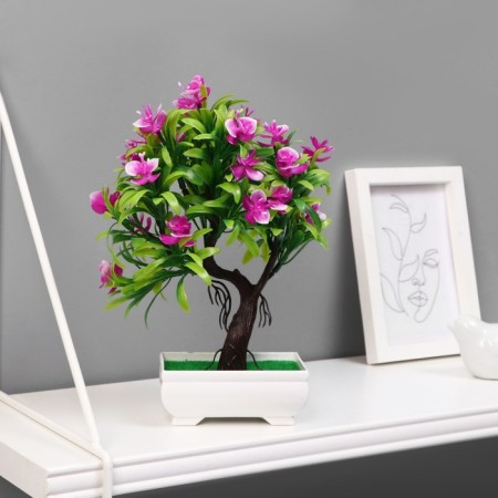 Bonsai in a pot "A tree with thin leaves and flowers" 10x24 cm, mix