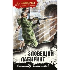 Ominent maze. Tamonikov A.A.