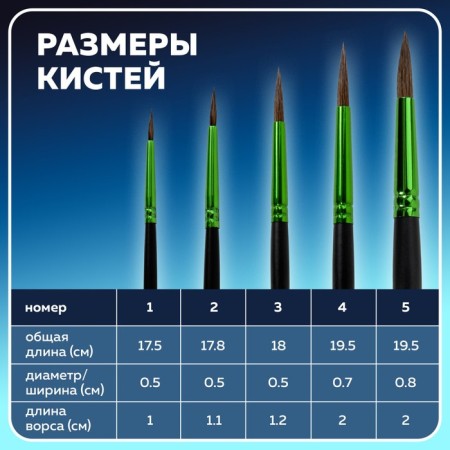 Набор кистей Пони 5 штук, BRAUBERG PREMIUM, круглые № 1, 2, 3, 4, 5-10