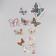 Butterflies cardboard "Flower" set 12 pcs h = 4-10 cm