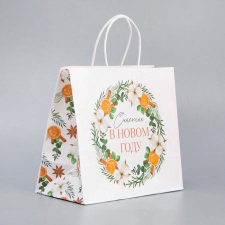 Package Gift Crafts "Cell and Cozy", 25 x 22 x 12 cm, New Year-2