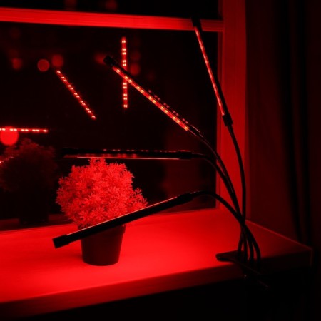 LED phytosvetnel, 36 watts, 250 mm, IP66, 5 V, USB, bicoline, clothespin, with a timer-2