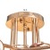 Causte "Annis" BP 5x40W E27 Gold Model: 2612360