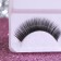 Eyelashes overhead "tenderness in the gaze", without glue, black color