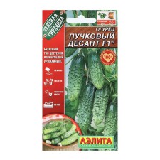 Seeds of cucumber 