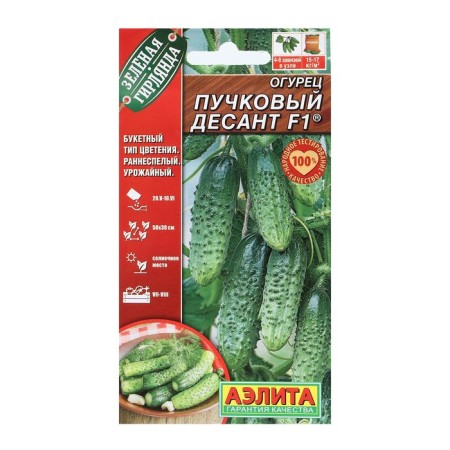 Seeds of cucumber "bundle landing", F1, 10 pcs