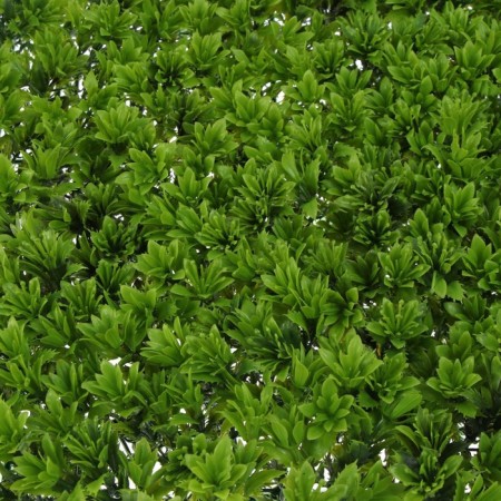 Decorative panel, 60 × 40 cm, "High moss", Greengo-13