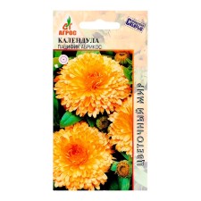 Calendula seeds Pacifik Apricot 0.5g*