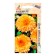 Calendula seeds Pacifik Apricot 0.5g*