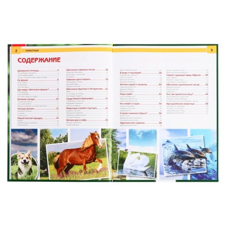 Encyclopedia with developing tasks "animals"-3