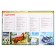 Encyclopedia with developing tasks "animals"