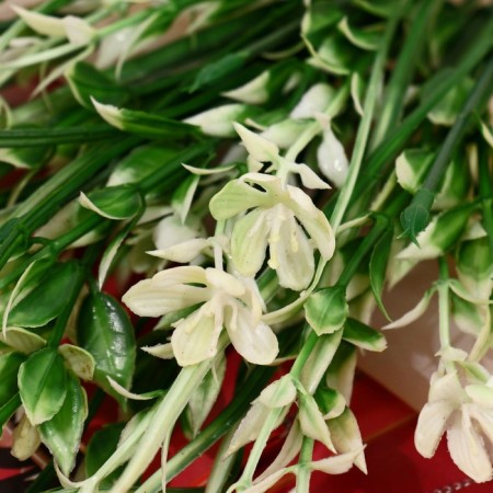 Bouquet "Flocus spread" 26 cm, white-green-1