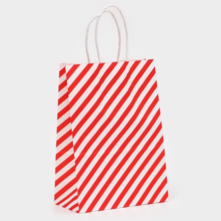 Crafts package, Red Lines, 21 x 15 x 8 cm-1