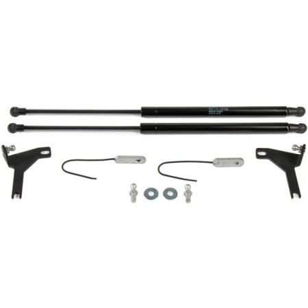 Hopes of the hood Auto-unit for Ford Focus II 2005-2008 2008-2011, 2 pcs., UFDFOC013