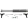 Hopes of the hood Auto-unit for Ford Focus II 2005-2008 2008-2011, 2 pcs., UFDFOC013