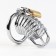 Belt of fidelity "Total cell No. 3", rings d = 4; 4.5; 5 cm, lock, key, metal
