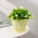 Pot for flowers with the Podon "Noble", 1 l, d = 14 cm, yellow color