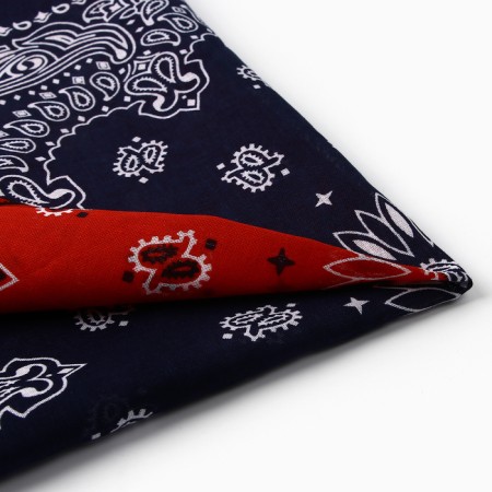 Women's handkerchief, cranesome color/blue, size 53-54-4