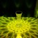 Table lamp with PDD "Crystal" LED 16 colors RGB touch 8x8x19 cm Risalux