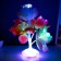 Nightlight "Bright flowers" LED from batteries 3AA H = 22 cm Mix Risalux